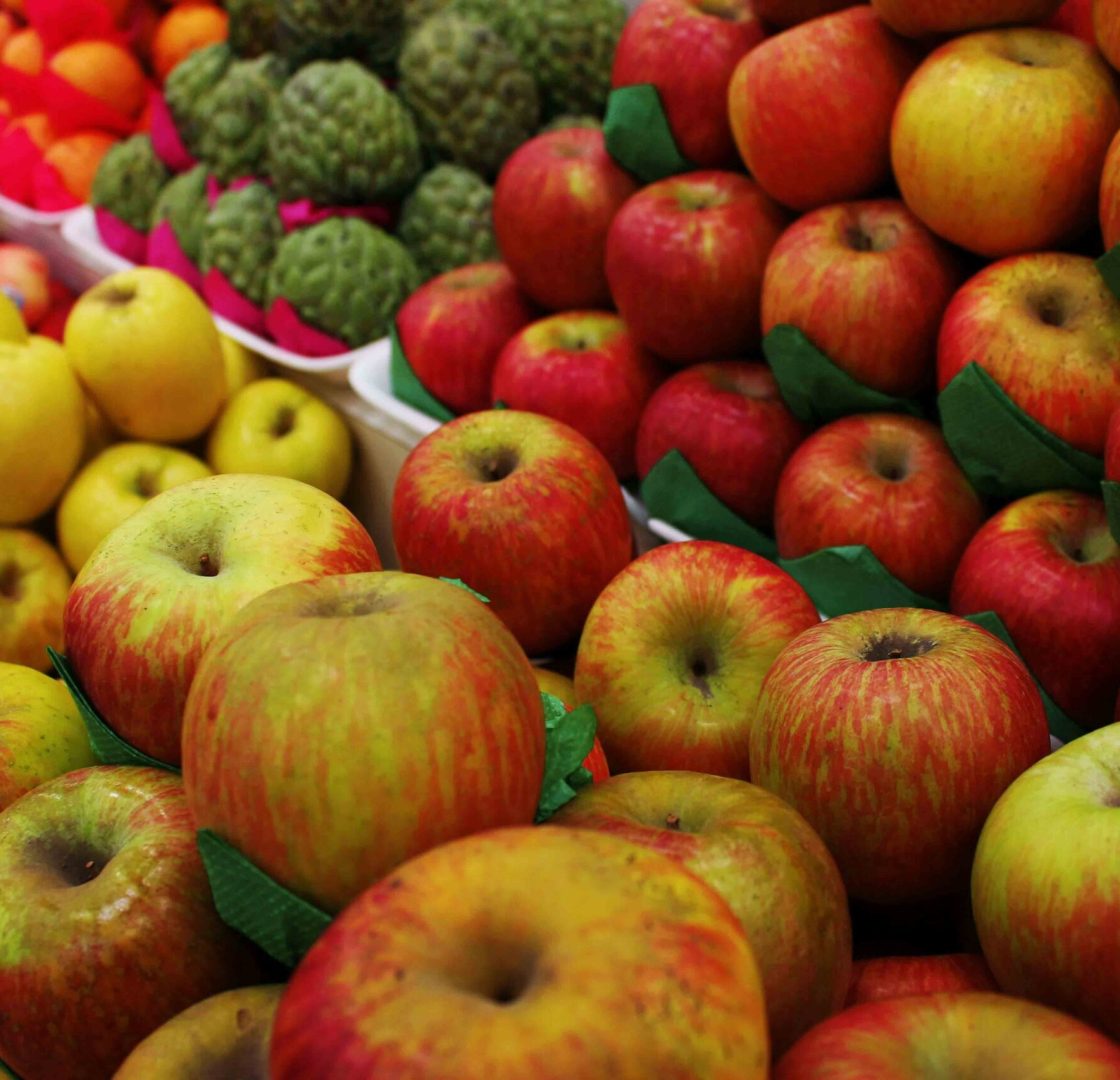 pexels-daniel-dan-47825192-7543135